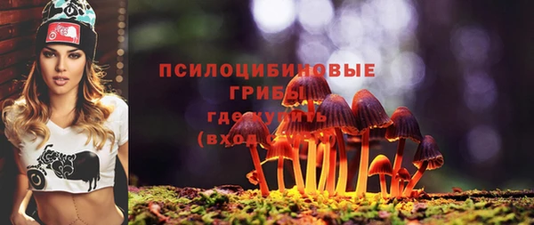 синтетический гашиш Медвежьегорск