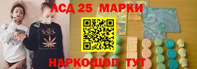 индика Рыбинск