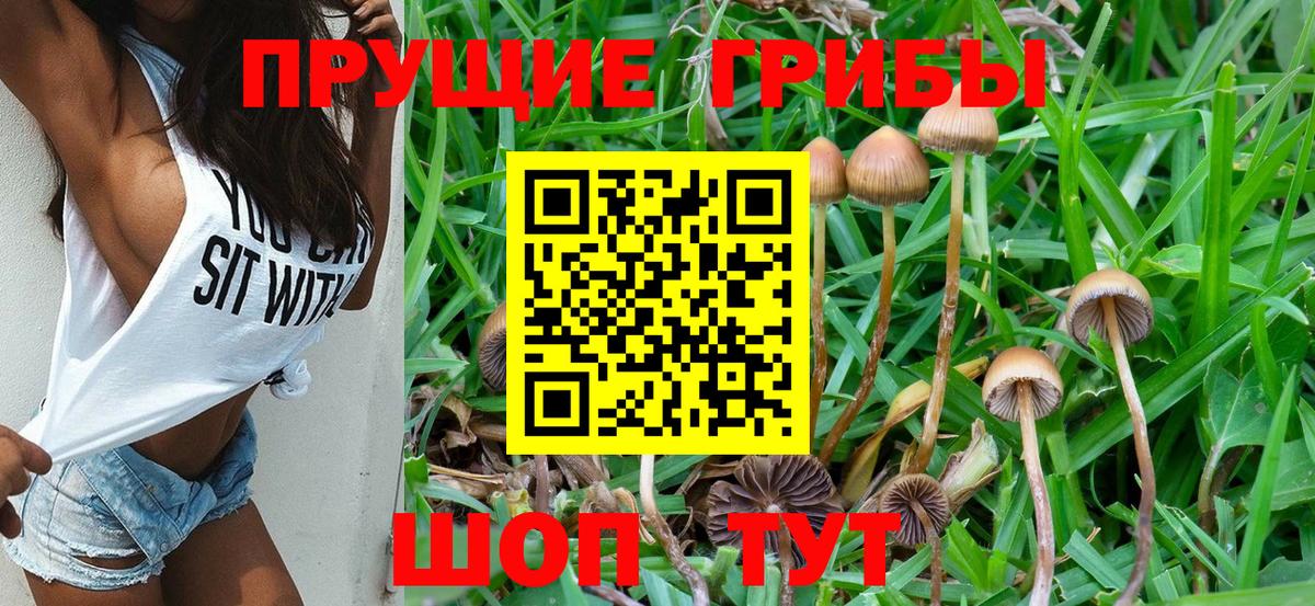 Псилоцибиновые грибы ЛСД  Липецк  Псилоцибиновые грибы прущие грибы 
